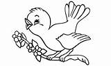 Mewarnai Contoh Anak Sketsa Belajar Burung Hewan Paud Kolase Kelas Lucu Tayo Contohnya Tobot Dll Populer sketch template