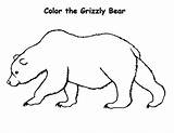 Grizzly Bear Coloring Drawing Draw Pages Realistic Clipartmag Step 51kb 464px sketch template