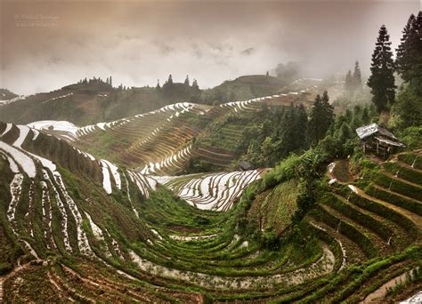 longji rice terraces  michail vorobyev px