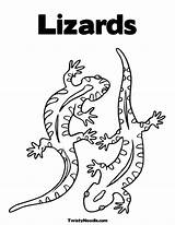 Coloring Pages Lizard Reptiles Template Lizards Sheet Morgan Gecko Garrett Kids Snake Reptile Drawing Animal Templates Twistynoodle Printable Mosaic Colouring sketch template