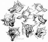Wolf Drawing Face Furry Expressions Teeth Animal Drawings Sketches Wolves Anatomy Monster Reference Sketch Head Zoned Cartoon Animales Getdrawings References sketch template