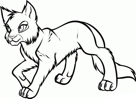 wild cat colouring pages clipart