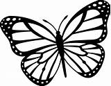 Papillon Coloriage Papillons Gratuitement Raskrasil Colorier Dessiner Butterflies Ailes sketch template