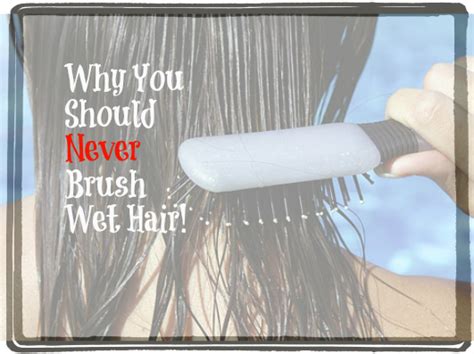 why shouldn t you brush your hair when it is wet with images wet