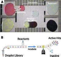 nanotechnology emerging tools  biology  medicine
