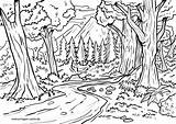 Wald Ausmalbild Malvorlage Großformat Grafik sketch template