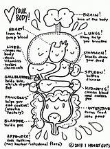 Coloring Heart Anatomy Pages Popular sketch template