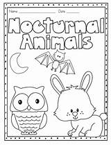 Nocturnal sketch template