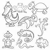 Reptiles Anfibios Amphibien Reptilien Amphibians Reptielen Ausmalbild Reptil Ausmalen Malvorlage Coloration Amfibieen Boek Kleurend Amphibies Ausdrucken Depositphotos Colourbox Répteis Flugdrachen sketch template