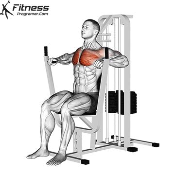 chest press machine muscles worked  benefits