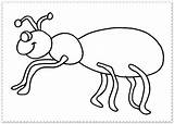 Colorat Ant Furnici Furnica Planse Coloram Universdecopil sketch template