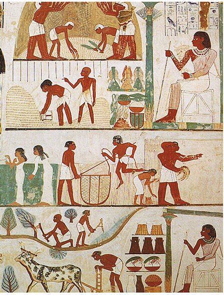 Agriculture In Ancient Egypt Ancient Egypt Photo