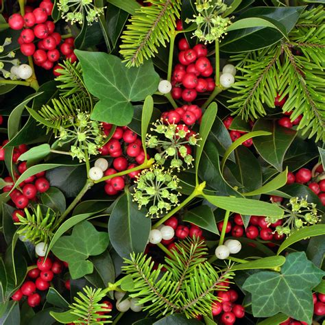 holly ivy mistletoe natural holiday decor bloom magazine