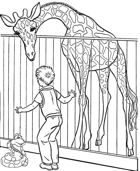 beautiful zoo coloring pages  children coloring pages