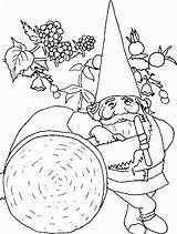 Gnome Coloring David Pages Rest Getcolorings sketch template
