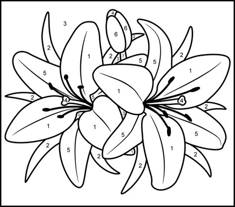 printable paint  numbers  adults az coloring pages