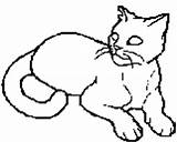 Starclan sketch template