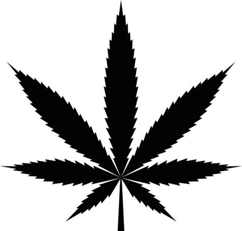 top  cannabis leaf clip art vector graphics  illustrations istock