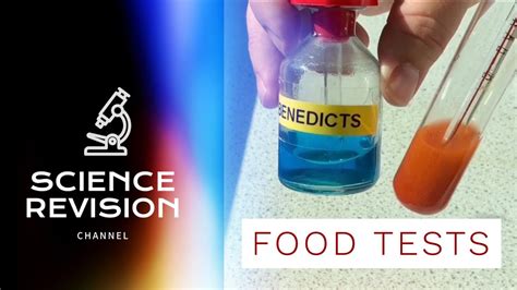gcse science biology   food tests required practical youtube