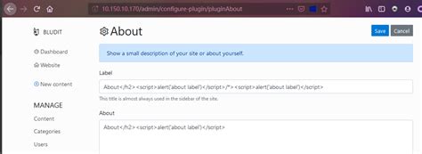 xss vulnerability   plugin  blog  theme   active