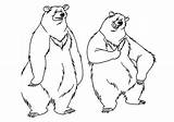 Mewarnai Beruang Realistic sketch template