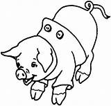 Pig Clothes Coloring Wear sketch template