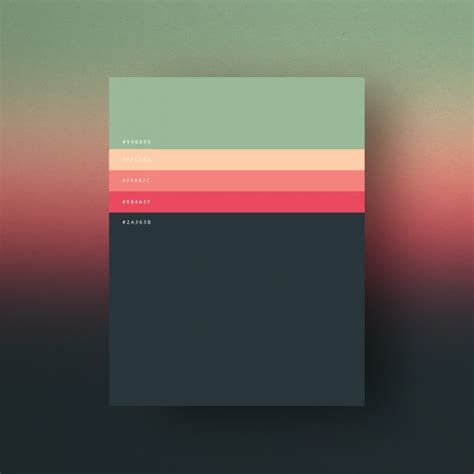 minimalist color palettes  dumma branding agency  design