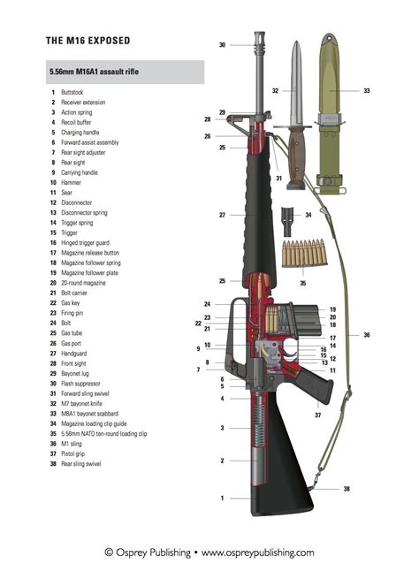 view  ma  rifle parts diagram goimages poof