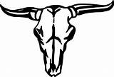 Skull Cow Clipart Bull Longhorn Outline Clip Pages Texas Head Steer Coloring Cliparts Decal Decals Line Cattle Longhorns Svg Vinyl sketch template