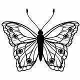 Vlinders Vlinder Kleurplaat Vector Silhouette Farfalla Tekening Tekenen Volwassenen Leukvoorkids Leuk Dieren Patroon sketch template