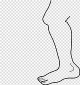 Leg Coloring Clipart Human sketch template