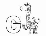 Giraffe Coloring Coloringcrew Alphabet sketch template