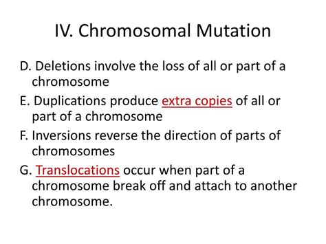 ppt karyotype and chromosomal mutation notes powerpoint presentation