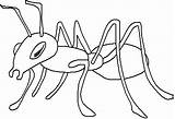 Furnica Fourmi Colorat Formiga Hormiga Desene Planse Hormigas Furnici Imagini Animale Insecte Ants Familycrafts Dibujos Coloriages sketch template
