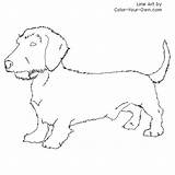 Dachshund Coloring Wirehaired Dog Color Pages Own Puppy Drawings Line Kids Musings Inkspired sketch template