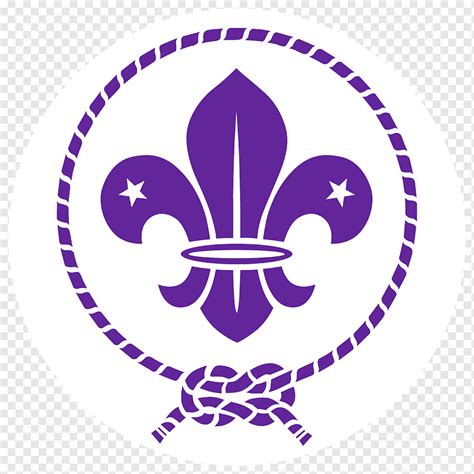 organizacion mundial del movimiento scout scouting  boys fleur de