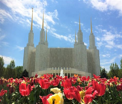 mormon lds temple  photo  pixabay