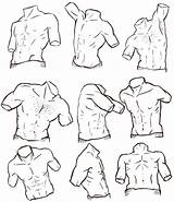 Torso Male Drawing Reference References sketch template