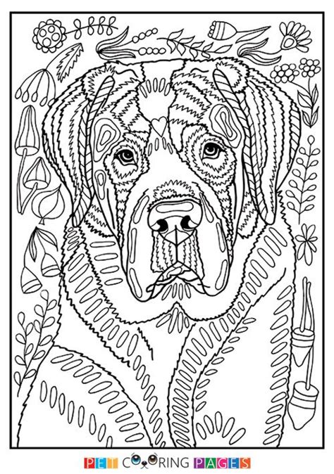 printable saint bernard coloring page