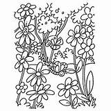Vakre Blooming Fargelegging Blomster Cerezo Jenta Hermosas Desilusion sketch template