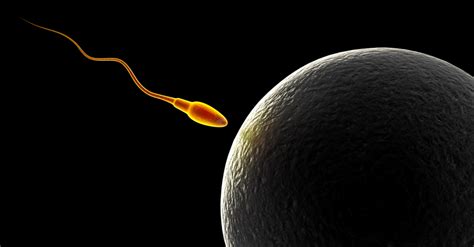 draft of new hhs strategic plan says life begins at conception