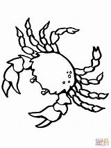 Crab Krebs Coloring Sea Ausmalbild Kostenlos Creature Crustacean sketch template