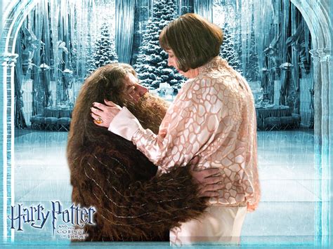 Who S Your Favorite Yule Ball Couple Poll Results Harry