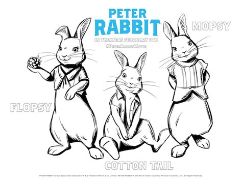 modern day peter rabbit rockin mama