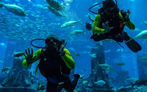 places  scuba diving  dubai jumeirah atlantis  mybayut