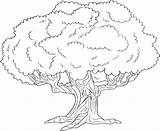 Coloring Pages Trees Forest Tree Getcolorings Printable Color Print sketch template
