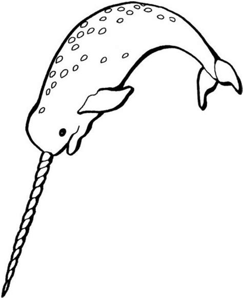 narwhal coloring pages