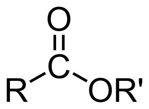 ester definition examples  facts chemistry dictionary