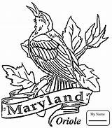 Coloring State Pages Maryland Bird Oriole Printable Iowa Baltimore Color Razorback Usa Drawing Texas Arkansas Birds Kids Mlb Logo Blossom sketch template