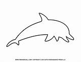 Dolphin Outline Printable Dolphins Outlines Silhouettes Webstockreview Timvandevall sketch template